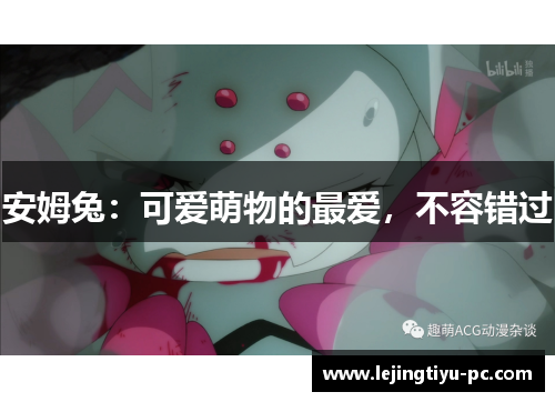 安姆兔：可爱萌物的最爱，不容错过